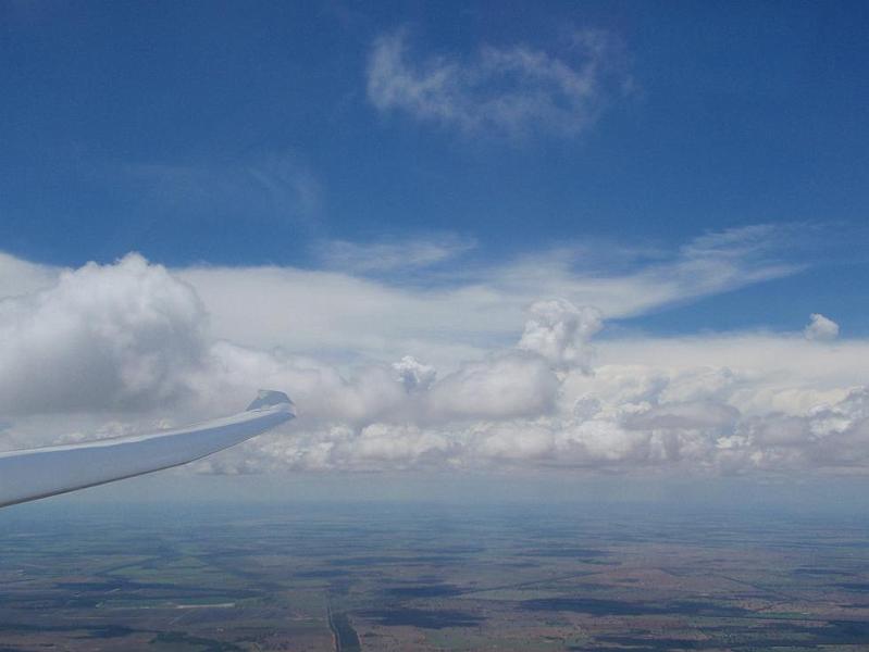 narromine2010 018.JPG